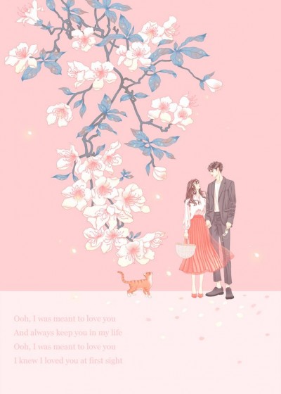 ����ϸ��ന